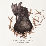 Sons Of The East - Into the Sun