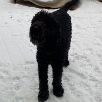 Make it - Single - Colton