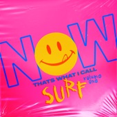 Now That's What I Call Surf, Vol. 1 - Torn