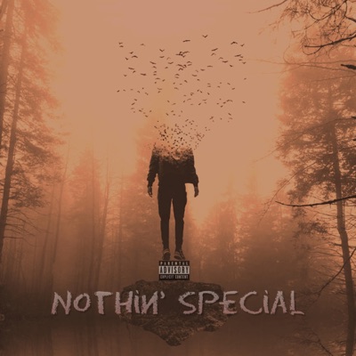 Nothin' Special (feat. QP) - Single