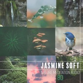 Jasmine Soft - Jungle Exotic Mood