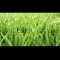 Greener Grass - Mr. Everything lyrics