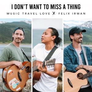 I Don't Want to Miss a Thing (feat. Felix Irwan) - Single