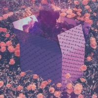 California Poppy - Single - Arkei & FRUCCI