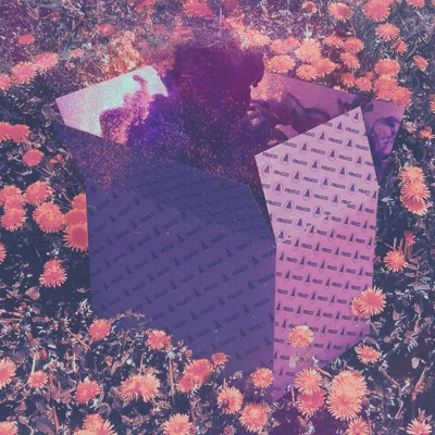 California Poppy - Single