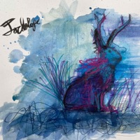 JACKALOPE - Jimmy Split & Jackie Scan