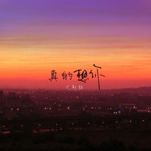 真的想你 (Remix) - Single