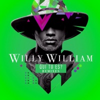 Qui tu es ? (Remixes) - Willy William