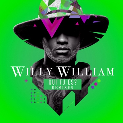 Qui tu es ? (Sobe remix) - Willy William | Shazam