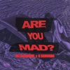 Are You Mad? - Single