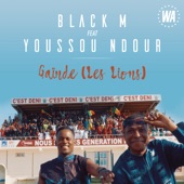 Gainde (Les Lions) [feat. Youssou NDour] artwork