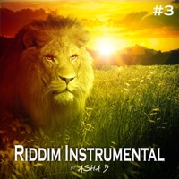 Riddim Instrumental, Vol. 3 (Reggae) - Asha D