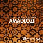 Amadlozi (feat. Slaga & Idelan) [Original] artwork