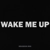 Wake Me Up