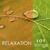 Spa Music Relaxation Meditation