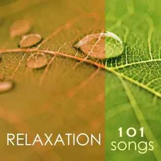 Mindful Meditation by Spa Music Relaxation Meditation song reviws