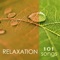 Daybreak - Spa Music Relaxation Meditation lyrics