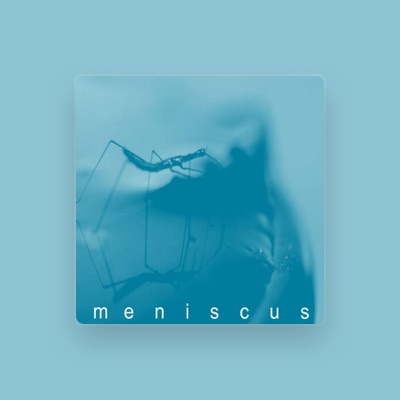 Meniscus