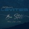 Be Still (feat. Andre Ashby) - Scott Brenner & Levites lyrics