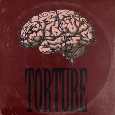 Torture (feat. Lilvicbxi, Popstarbills & Yung Platinum) - Single
