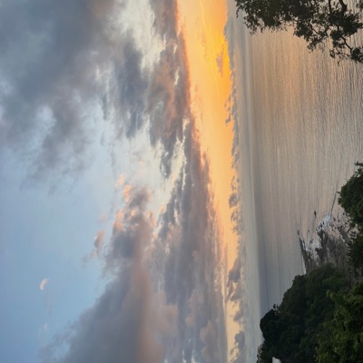 Whats the Vibe (feat. Ace Liberachi & Shawn Chrystopher) - Single