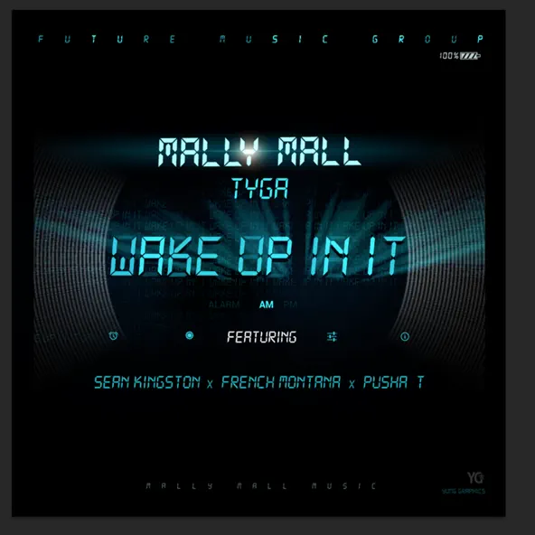 Mally Mall & Tyga featuring Sean Kingston, French Montana, & Pusha T — Wake Up In It cover artwork