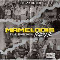 Mamelodis Tribute (feat. Homeboii99) - Single - Umfana De Boii