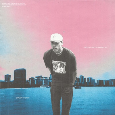 Should I Stay Or Should I Go