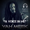 A Voice In Me (feat. Yah Meek) - Single