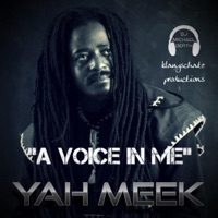 A Voice In Me (feat. Yah Meek) - Single - DJ Michael Berth
