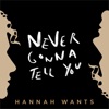 Hannah Wants & Chris Lorenzo - Never Gonna Tell You