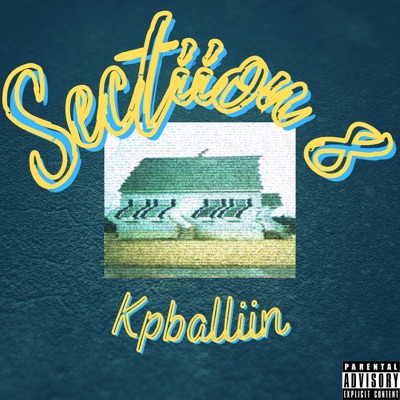 Sectiion 8 - Single
