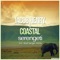 Serengeti - Jacob Henry & Coastal lyrics