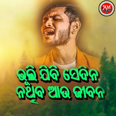 Bhulijibi Sedina - Single