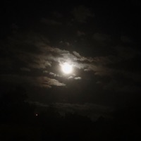 Friday Night - Single - A$heem