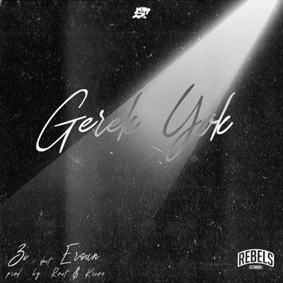 Gerek Yok (feat. Zi) - Single