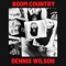 Dennis Wilson - Boom Country lyrics