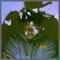 Dirty Dishes (feat. Dee Smiff & Tay Flee) - _King_nobody lyrics