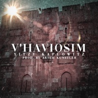 V'haviosim - Single - Yitzy Kaplowitz