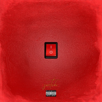 Switch - Single