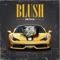 Blush - Seth G. lyrics
