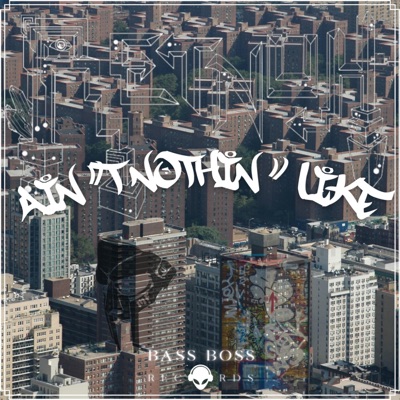 Ain't Nothin' Like - Single