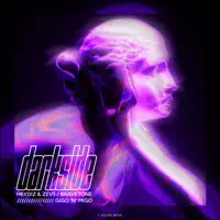 Darkside — HEYDIZ & ZEVS; Bravetone; Gigo 'n' Migo