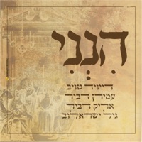 הנני - Single - David Taub