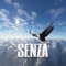 SENZA - Carllboy lyrics