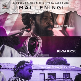 Mali Eningi (feat. Riky Rick & Intaba Yase Dubai) Big Zulu