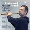 Paris Mozart Orchestra Fantaisie, Op. 79 (Arr. for Orchestra by Auber) Mozart & Flute in Paris