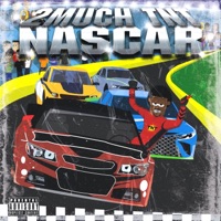 Nascar - 2muchtnt