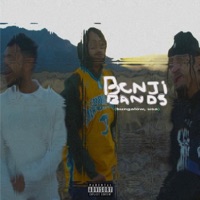 Benji Bands (feat. Zay Suav, Rshad & Marcus Isiah) - Single - Bungalow Collect