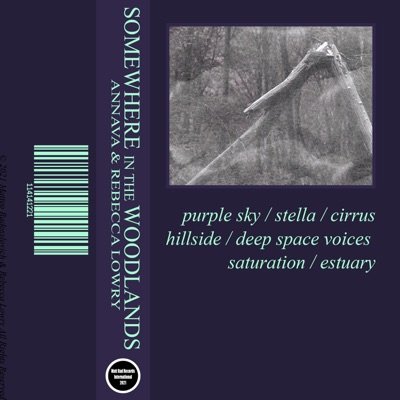 Somewhere in the Woodlands